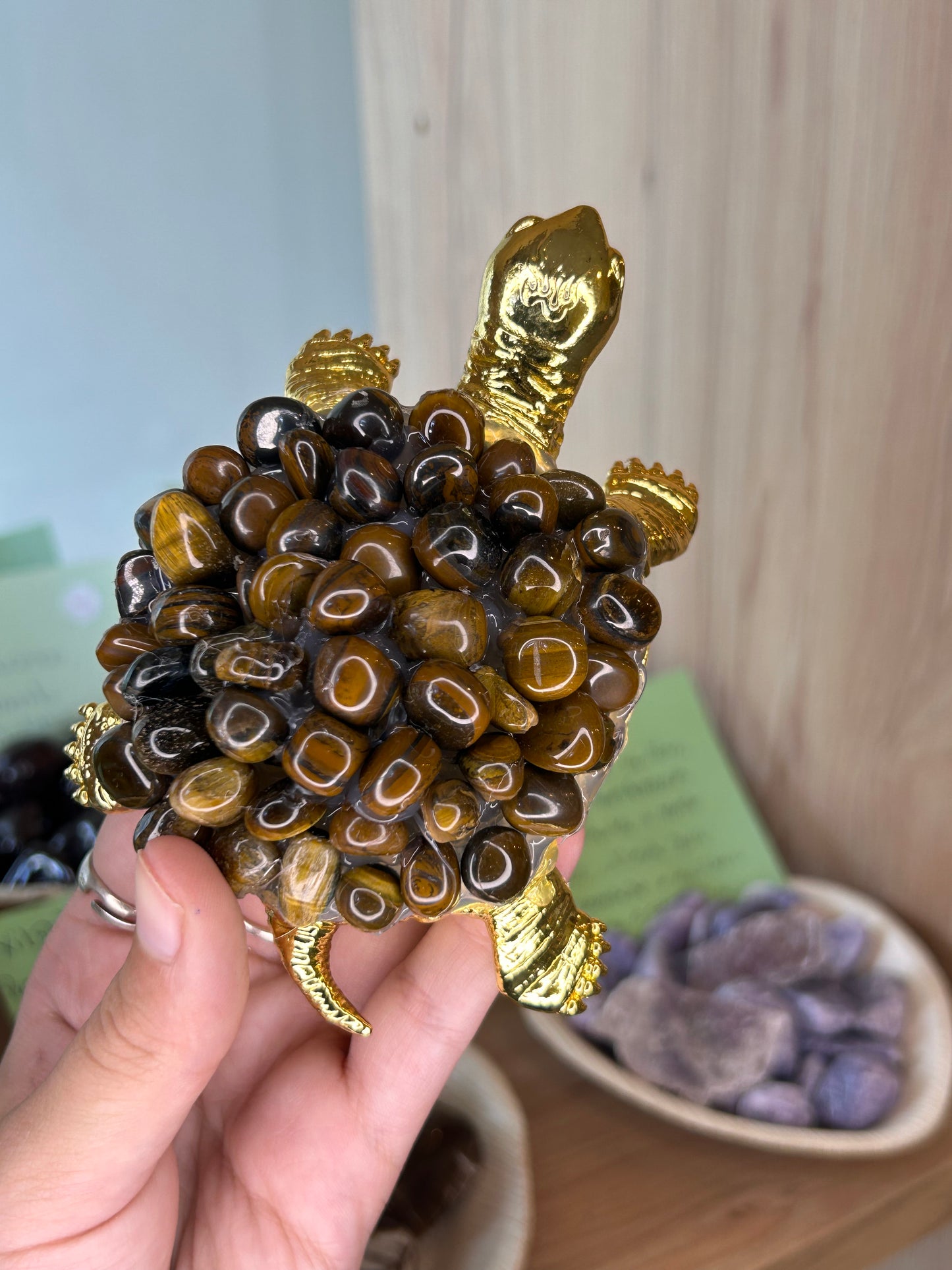Tartaruga Olho de Tigre