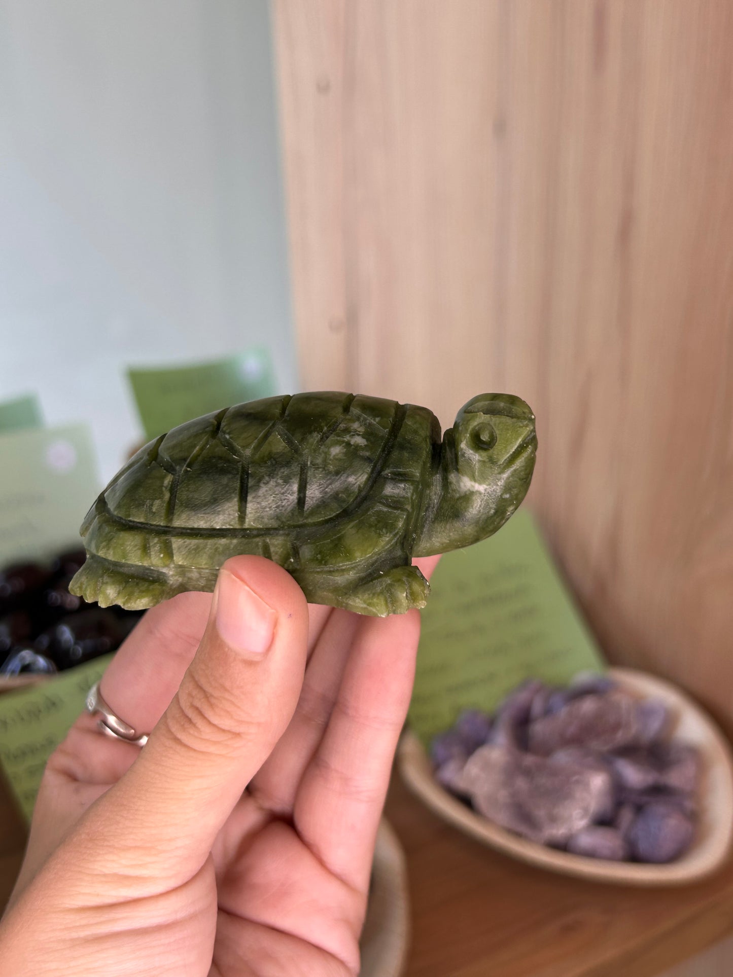 Tartaruga Jade Verde