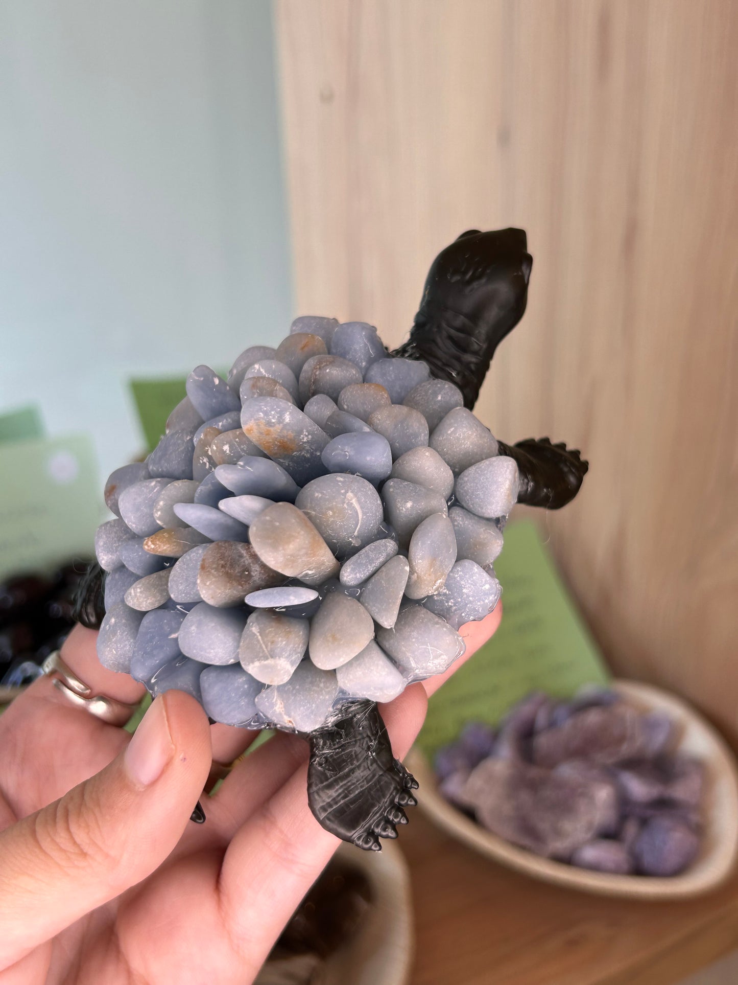 Tartaruga Quartzo Azul