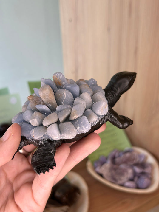 Tartaruga Quartzo Azul