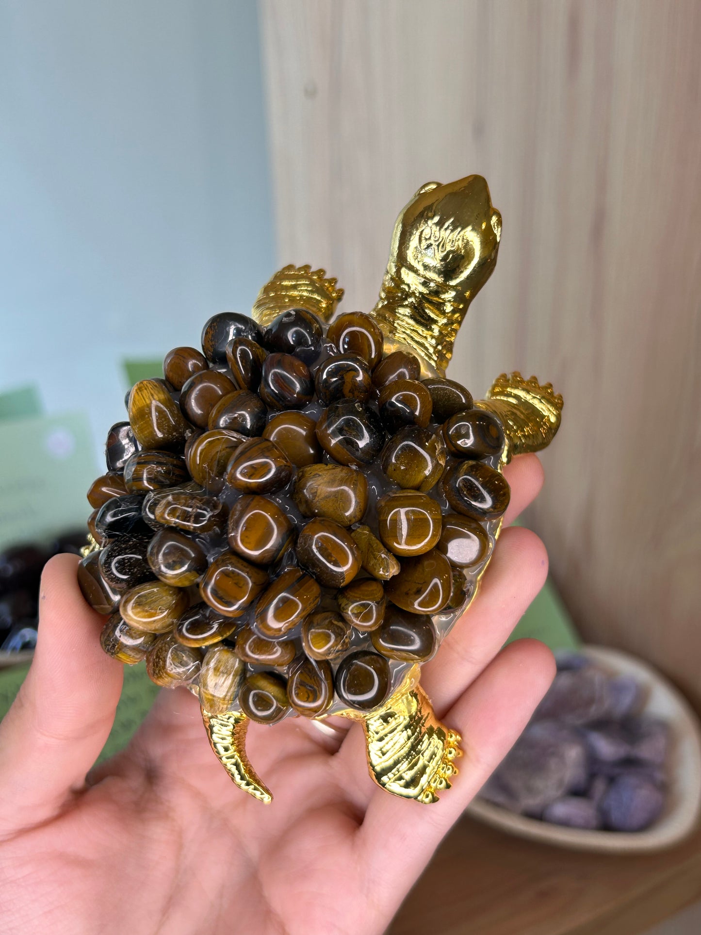 Tartaruga Olho de Tigre
