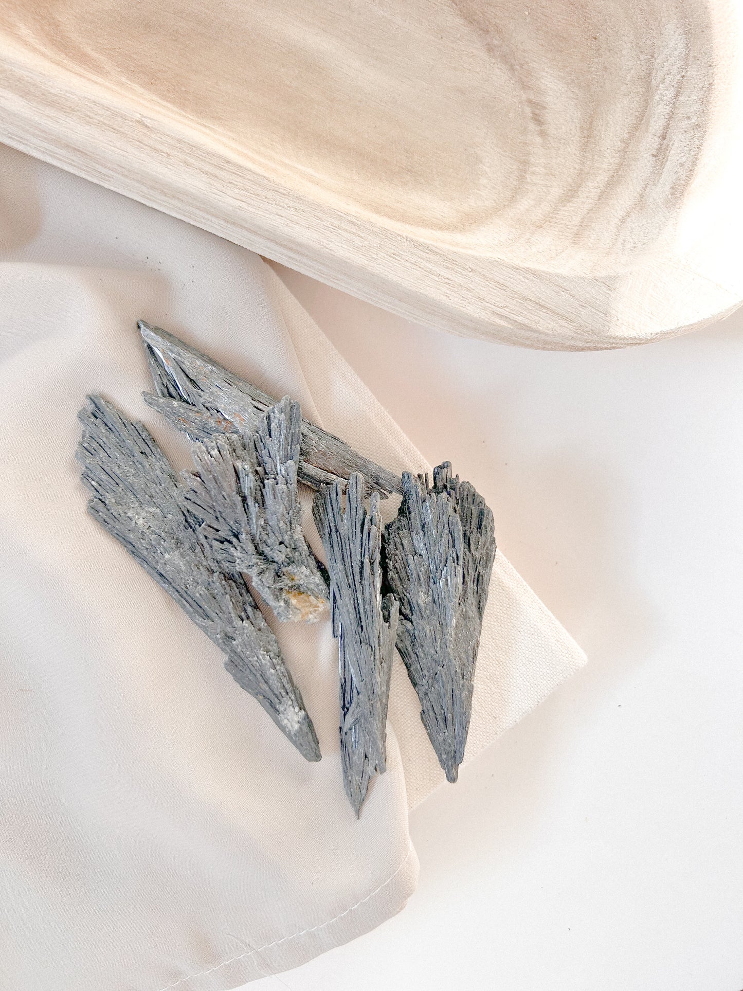 Cianite Negra (M)