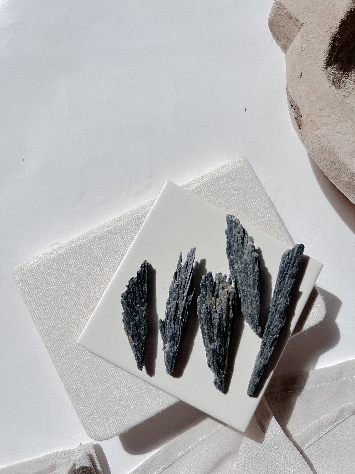 Cianite Negra (S)