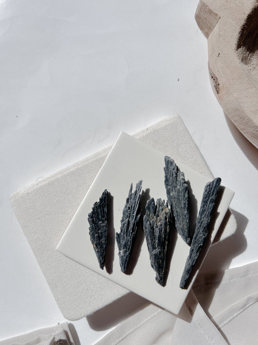 Cianite Negra (S)