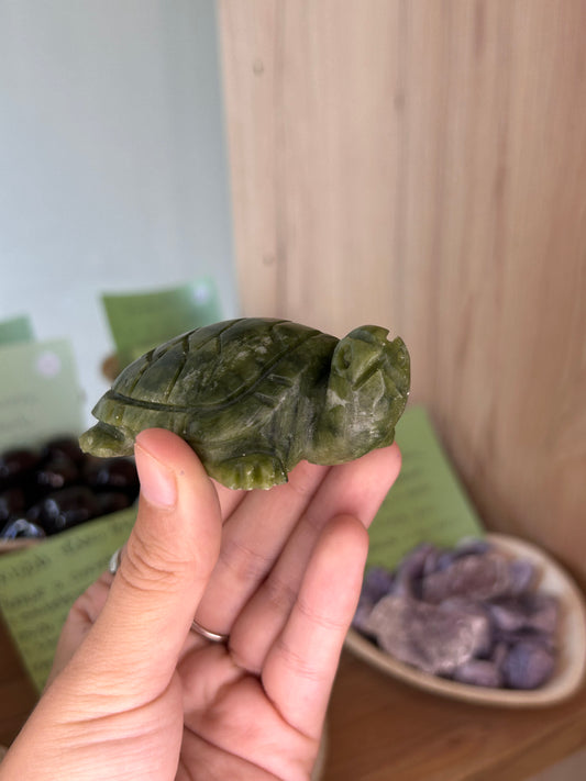 Tartaruga Jade Verde